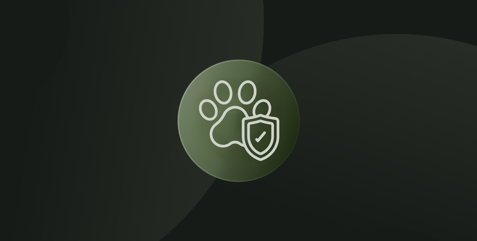 https://www.devengo.com/wp-content/uploads/2025/09/thumbnail-insurtech.png
